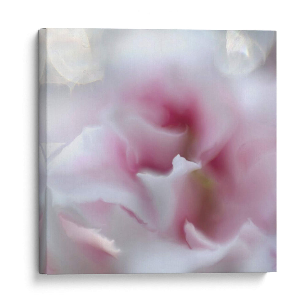 Espero En Rosa Iii - Gillian Hunt | Cuadro decorativo de Canvas Lab