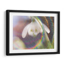 Glorioso En El Arco Iris I - Gillian Hunt | Cuadro decorativo de Canvas Lab