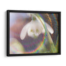 Glorioso En El Arco Iris I - Gillian Hunt | Cuadro decorativo de Canvas Lab