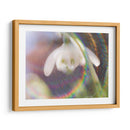 Glorioso En El Arco Iris I - Gillian Hunt | Cuadro decorativo de Canvas Lab