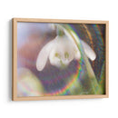 Glorioso En El Arco Iris I - Gillian Hunt | Cuadro decorativo de Canvas Lab