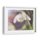 Glorioso En El Arco Iris I - Gillian Hunt | Cuadro decorativo de Canvas Lab