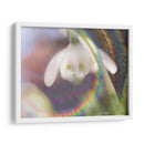 Glorioso En El Arco Iris I - Gillian Hunt | Cuadro decorativo de Canvas Lab