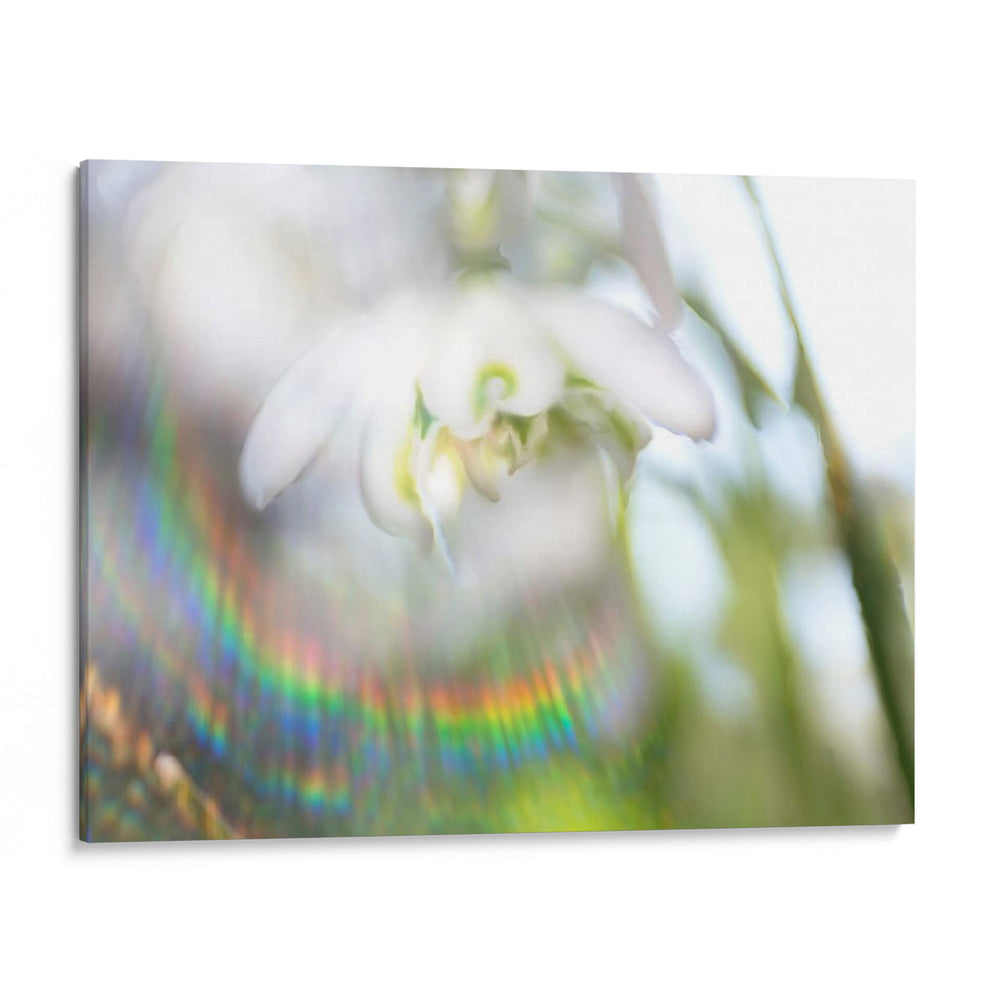 Glorioso En El Arco Iris Ii - Gillian Hunt | Cuadro decorativo de Canvas Lab