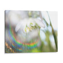 Glorioso En El Arco Iris Ii - Gillian Hunt | Cuadro decorativo de Canvas Lab