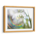 Glorioso En El Arco Iris Ii - Gillian Hunt | Cuadro decorativo de Canvas Lab