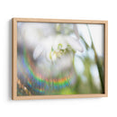 Glorioso En El Arco Iris Ii - Gillian Hunt | Cuadro decorativo de Canvas Lab