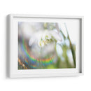 Glorioso En El Arco Iris Ii - Gillian Hunt | Cuadro decorativo de Canvas Lab