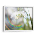 Glorioso En El Arco Iris Ii - Gillian Hunt | Cuadro decorativo de Canvas Lab