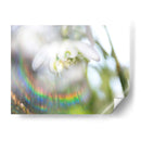 Glorioso En El Arco Iris Ii - Gillian Hunt | Cuadro decorativo de Canvas Lab