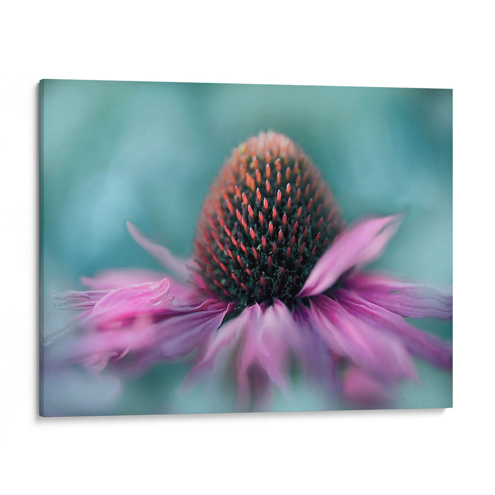 Cantar Al Sol I - Gillian Hunt | Cuadro decorativo de Canvas Lab