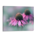 Cantar Al Sol Ii - Gillian Hunt | Cuadro decorativo de Canvas Lab