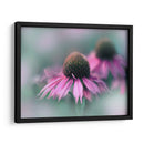 Cantar Al Sol Ii - Gillian Hunt | Cuadro decorativo de Canvas Lab