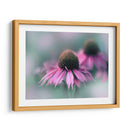 Cantar Al Sol Ii - Gillian Hunt | Cuadro decorativo de Canvas Lab