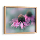 Cantar Al Sol Ii - Gillian Hunt | Cuadro decorativo de Canvas Lab