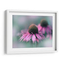 Cantar Al Sol Ii - Gillian Hunt | Cuadro decorativo de Canvas Lab