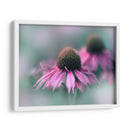 Cantar Al Sol Ii - Gillian Hunt | Cuadro decorativo de Canvas Lab