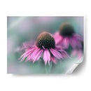 Cantar Al Sol Ii - Gillian Hunt | Cuadro decorativo de Canvas Lab