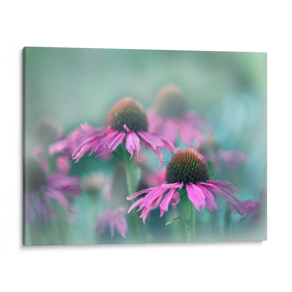 Cantar Al Sol Iii - Gillian Hunt | Cuadro decorativo de Canvas Lab