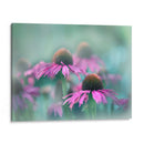 Cantar Al Sol Iii - Gillian Hunt | Cuadro decorativo de Canvas Lab