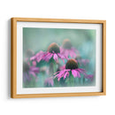 Cantar Al Sol Iii - Gillian Hunt | Cuadro decorativo de Canvas Lab