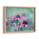 Cantar Al Sol Iii - Gillian Hunt | Cuadro decorativo de Canvas Lab