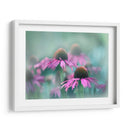 Cantar Al Sol Iii - Gillian Hunt | Cuadro decorativo de Canvas Lab