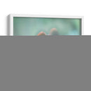 Cantar Al Sol Iii - Gillian Hunt | Cuadro decorativo de Canvas Lab