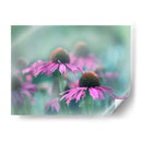 Cantar Al Sol Iii - Gillian Hunt | Cuadro decorativo de Canvas Lab