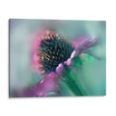 Canta Al Sol Iv - Gillian Hunt | Cuadro decorativo de Canvas Lab