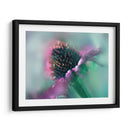 Canta Al Sol Iv - Gillian Hunt | Cuadro decorativo de Canvas Lab