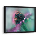 Canta Al Sol Iv - Gillian Hunt | Cuadro decorativo de Canvas Lab