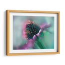 Canta Al Sol Iv - Gillian Hunt | Cuadro decorativo de Canvas Lab