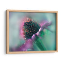 Canta Al Sol Iv - Gillian Hunt | Cuadro decorativo de Canvas Lab