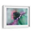 Canta Al Sol Iv - Gillian Hunt | Cuadro decorativo de Canvas Lab