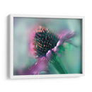 Canta Al Sol Iv - Gillian Hunt | Cuadro decorativo de Canvas Lab