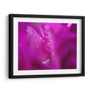 Corazones En Rosa I - Gillian Hunt | Cuadro decorativo de Canvas Lab