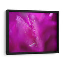 Corazones En Rosa I - Gillian Hunt | Cuadro decorativo de Canvas Lab