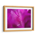 Corazones En Rosa I - Gillian Hunt | Cuadro decorativo de Canvas Lab