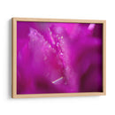 Corazones En Rosa I - Gillian Hunt | Cuadro decorativo de Canvas Lab