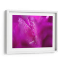 Corazones En Rosa I - Gillian Hunt | Cuadro decorativo de Canvas Lab