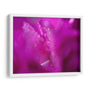 Corazones En Rosa I - Gillian Hunt | Cuadro decorativo de Canvas Lab