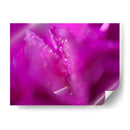 Corazones En Rosa I - Gillian Hunt | Cuadro decorativo de Canvas Lab