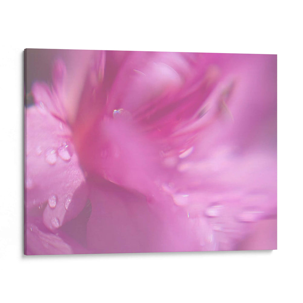 Corazones En Rosa Ii - Gillian Hunt | Cuadro decorativo de Canvas Lab