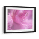 Corazones En Rosa Ii - Gillian Hunt | Cuadro decorativo de Canvas Lab