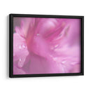 Corazones En Rosa Ii - Gillian Hunt | Cuadro decorativo de Canvas Lab