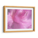 Corazones En Rosa Ii - Gillian Hunt | Cuadro decorativo de Canvas Lab