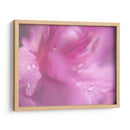 Corazones En Rosa Ii - Gillian Hunt | Cuadro decorativo de Canvas Lab