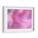 Corazones En Rosa Ii - Gillian Hunt | Cuadro decorativo de Canvas Lab