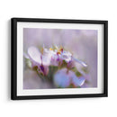 Niebla De Lilac Iii - Gillian Hunt | Cuadro decorativo de Canvas Lab